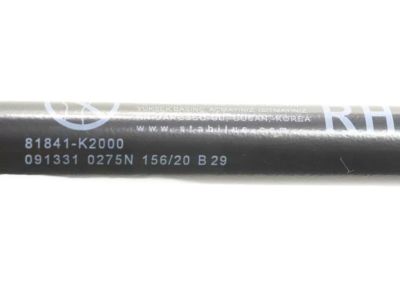Hyundai 81841-K2000