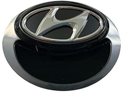 Hyundai 84270-3S000-HZ Hook-Car Mat