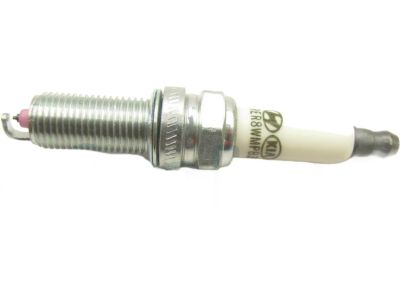 Hyundai 18869-09095