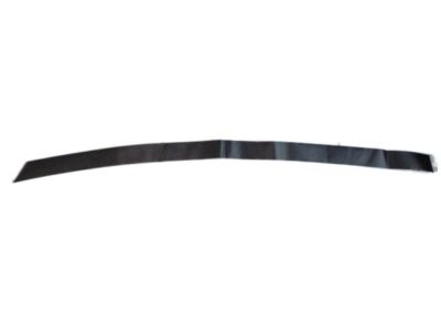 Hyundai 86392-0U000 Tape-Rear Door Black Frame Upper,RH