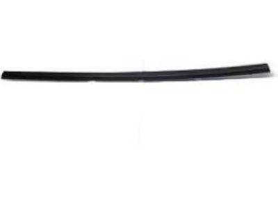 2008 Hyundai Elantra Door Seal - 83210-2H000