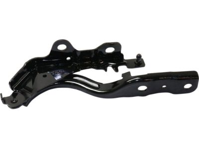 Hyundai Sonata Hood Hinge - 79120-C2000