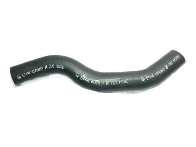 2003 Hyundai Santa Fe Radiator Hose - 25411-26010