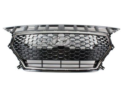Hyundai 86350-G3010 Front Radiator Grille Assembly