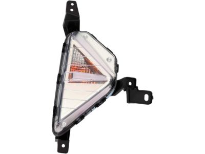 Hyundai 92302-F2510 Lamp Assembly-Front Turn Signal,RH