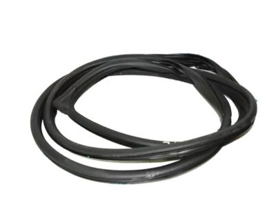 Hyundai Sonata Weather Strip - 82110-C1001-TRY