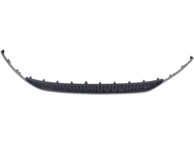 Hyundai 86560-C2300 Front Bumper Grille