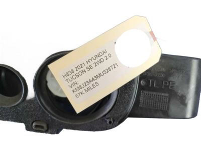 Hyundai Fuel Filler Housing - 81595-D3500