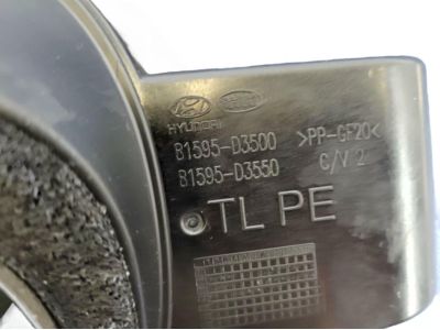 Hyundai Fuel Filler Housing - 81595-D3500