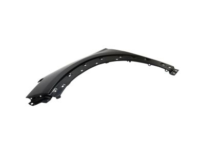 Hyundai 66311-D3000 Panel-Fender,LH