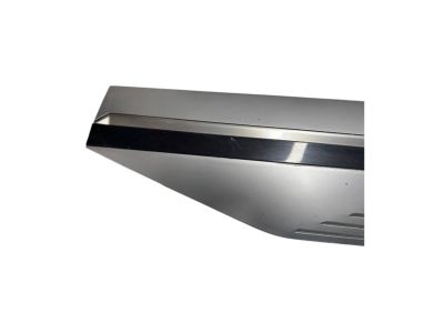 Hyundai Ioniq 5 Door Moldings - 87722-GI100