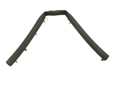 2018 Hyundai Tucson Weather Strip - 86437-D3000