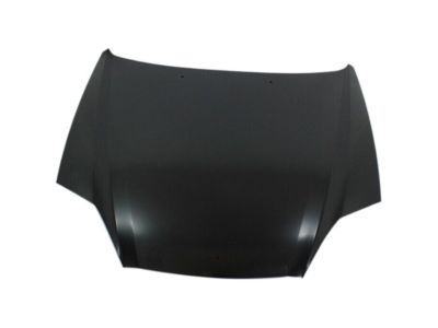 Hyundai Tiburon Hood - 66400-2C020