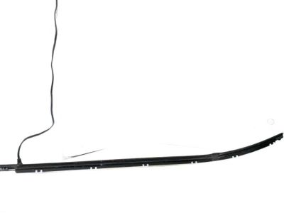Hyundai Elantra Door Seal - 83220-F2000