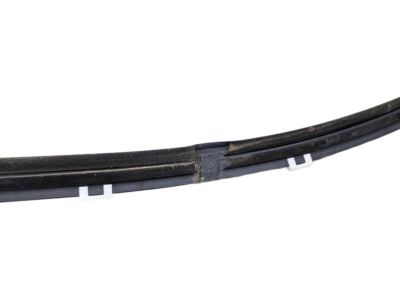 Hyundai Elantra Door Seal - 83220-F2000