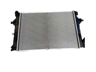 Hyundai 25310-F2000 Radiator Assembly