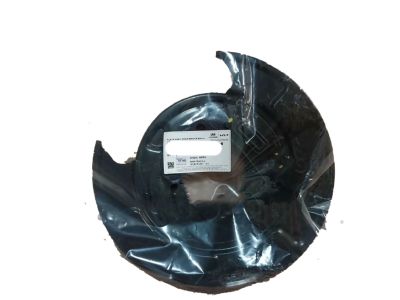 58252-3K100 Hyundai Rear Brake Back Plate Assembly Right Hand Product Photo 2 of 3