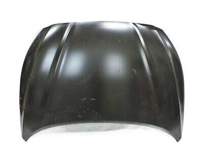 Hyundai Sonata Hood - 66400-C2500