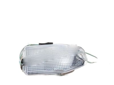 Hyundai 87624-3J000 Lamp Assembly-Puddle,RH