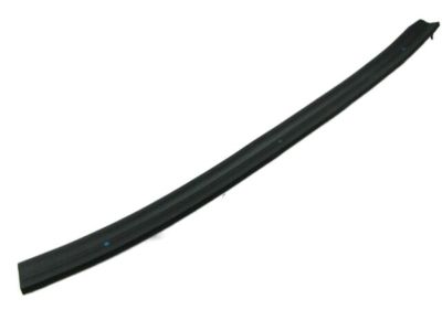 Hyundai 83170-3M000 Weatherstrip-Rear Door Lower,LH