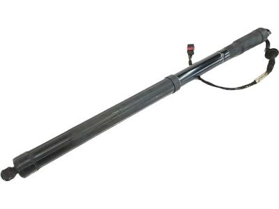 Hyundai Santa Fe Sport Lift Support - 81771-2W600