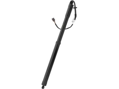 Hyundai Santa Fe Sport Lift Support - 81771-2W600