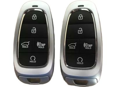 Hyundai Santa Fe Car Key - 95440-S1670