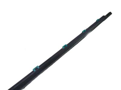 Hyundai Elantra GT Door Seal - 83210-A5000