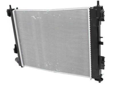 Hyundai 25310-H9050 Radiator Assembly