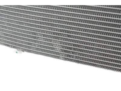 Hyundai 25310-H9050 Radiator Assembly