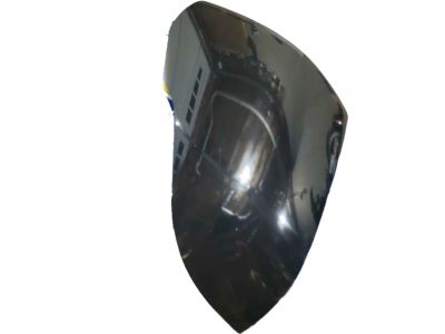 Hyundai 87616-C2010