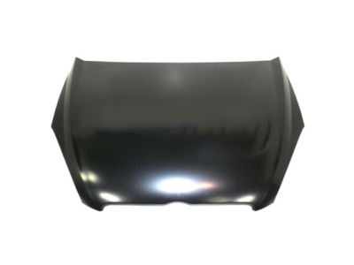 2005 Hyundai Accent Hood - 66400-1E010