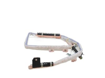 Hyundai 85010-G2000 Curtain Air Bag Module,LH