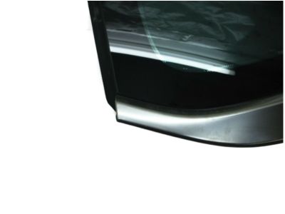 Hyundai 87810-B1200 Glass & MOULDING Assembly-Quarter