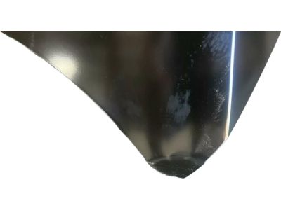 2024 Hyundai Santa Cruz Hood - 66400-K5000