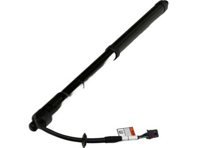 Hyundai Santa Fe Lift Support - 81771-B8101