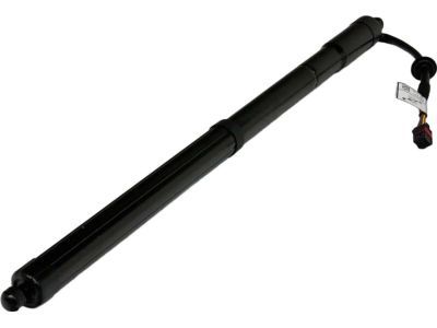 Hyundai Santa Fe Lift Support - 81771-B8101
