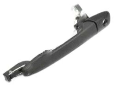 2020 Hyundai Veloster Door Handle - 82651-J3000