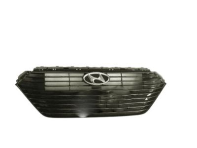 Hyundai 86350-G2000-EB Radiator Grille Assembly