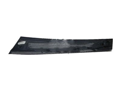 Hyundai Genesis G90 Door Moldings - 82250-D2010