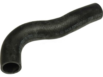 Hyundai 25411-F2250