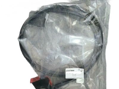 2016 Hyundai Tucson Weather Strip - 86430-D3000