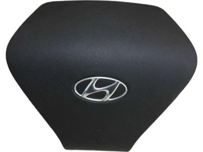 Hyundai Sonata Hybrid Air Bag - 56900-4R100-HZ
