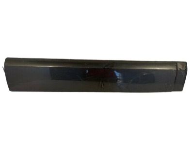 2004 Hyundai Santa Fe Door Moldings - 87722-26900