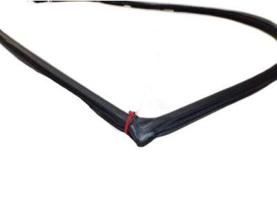 Hyundai 82120-2D010-OH Weatherstrip-Front Door Body Side RH