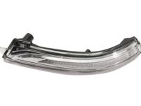 Hyundai 87614-F2000 Outside Mirror Lamp Assembly Left Hand Hyundai 87614-F2000 Outside Mirror Lamp Assembly Left Hand