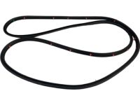 Hyundai 83130-S1000 W/STRIP Assembly-RR Dr Side LH