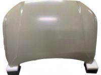 Hyundai 66400-S8000 Hood Panel Assembly