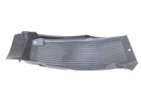 Hyundai 86821-A5010 Rear Wheel Front Guard Assembly,Left