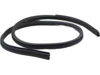 Hyundai 82120-2M000-9P Front Door Body Side Weatherstrip Right Hand